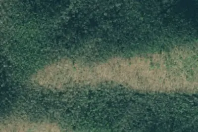 Camp site