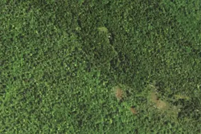 Camp site