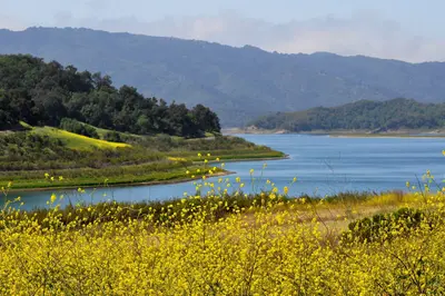 Lake Casitas - panoramio