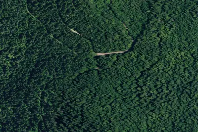 Rd 614 Site 9
