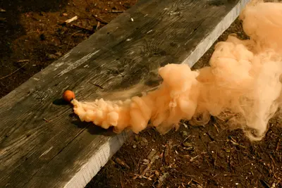 Smoke Bomb (173822838)