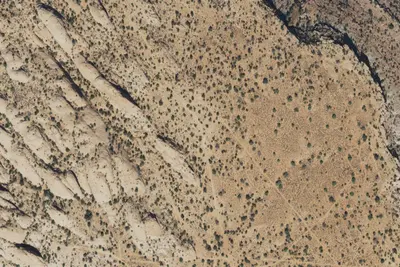Camp site