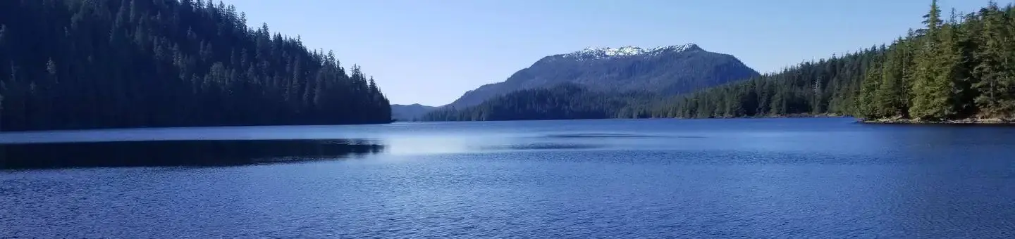 Salmon Bay Lake looking south from cabin.