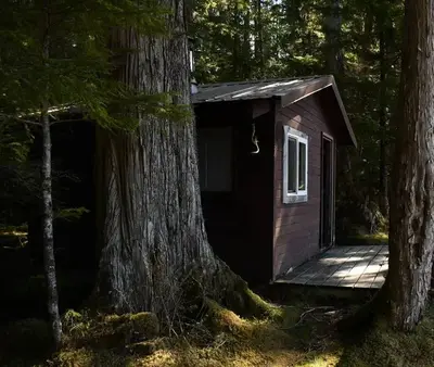 Salmon Bay Lake Cabin