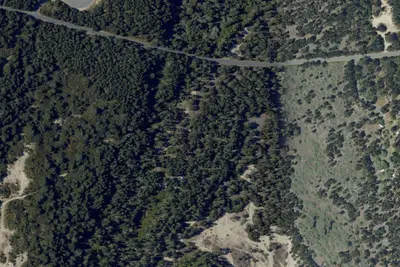 Wild Mare Campground