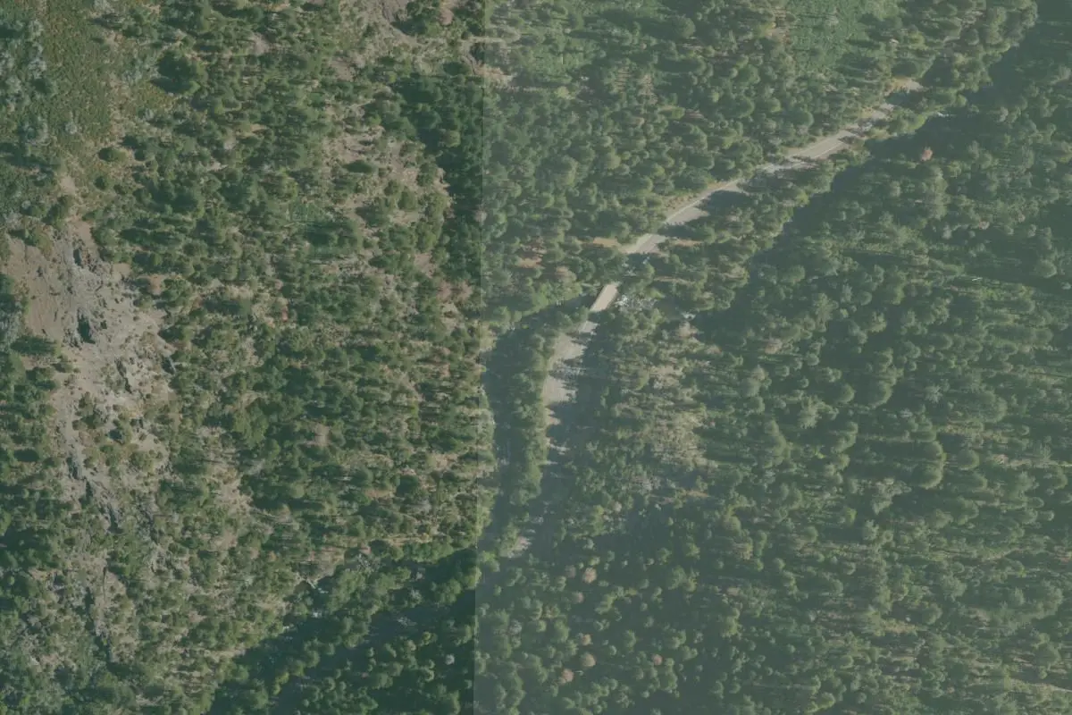 Aerial view