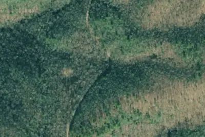 Camp site