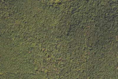 Camp site
