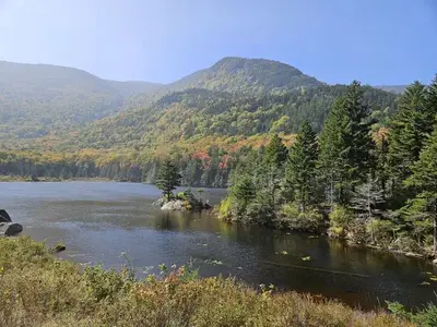 Wildwood surrounding area