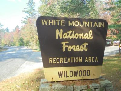 Wildwood