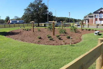 Georgia Visitor Information Center, Lowndes County grape arbors