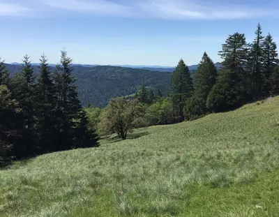 Lacks Creek (51222454277)