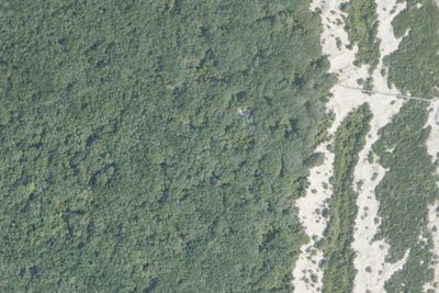 Sea Camp Campground