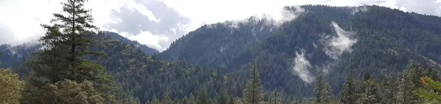 North Fork Yuba River Canyon
