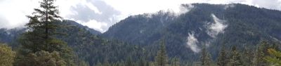 Ramshorn Campground