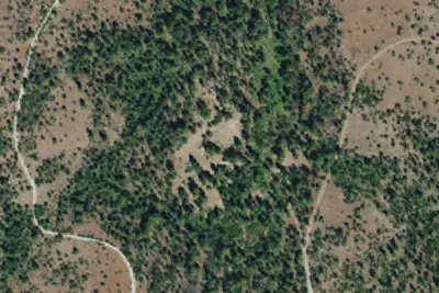 Frazier Campground