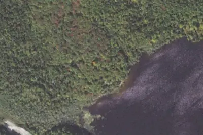 Little Brevort Lake-North State Forest Campground