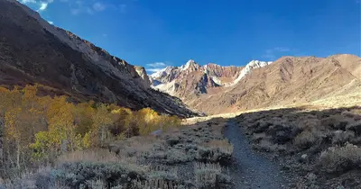 Fall Colors on McGee Creek, Inyo National Forest