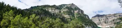Theater in the Pines