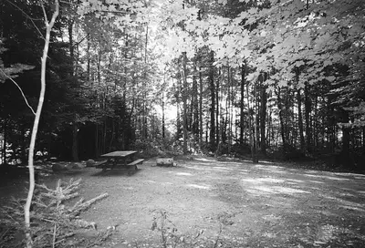 Bear lake campground 2