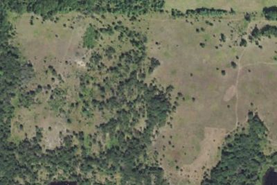 Karner Meadow DCA