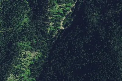 Camp site