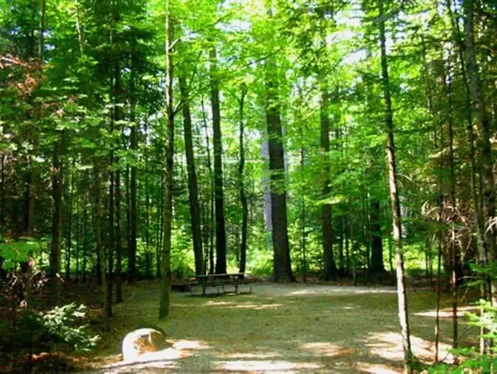 Campsite