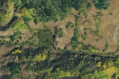 Camp site