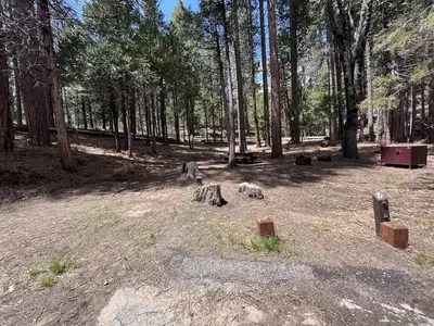 Site 8