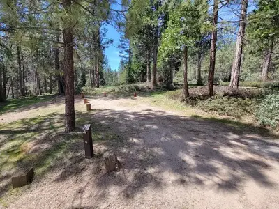 Site 71