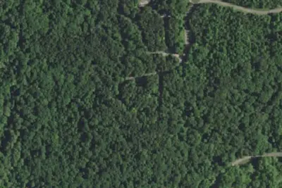 Camp site