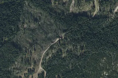 Ash Mtn Road-011
