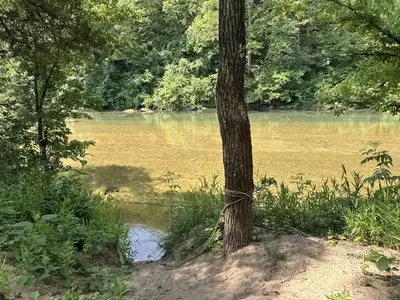 A group campsite next to the river with trees and shade