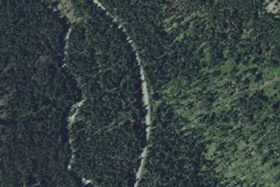 Canyon Forest Campground