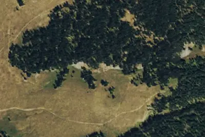 Camp site