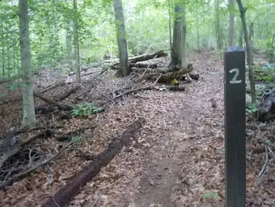 Campsite #2 Marker