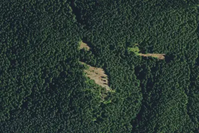 Camp site