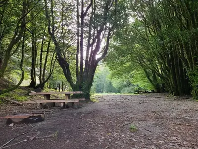 EDSON CREEK individual camp 1