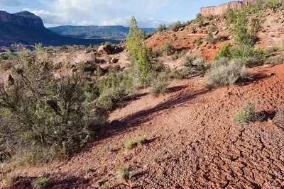 West of Tenderfoot Mesa - Flickr - aspidoscelis