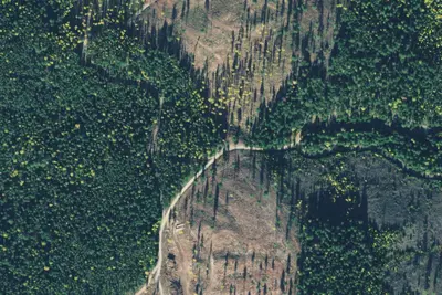 Boulder Creek 08
