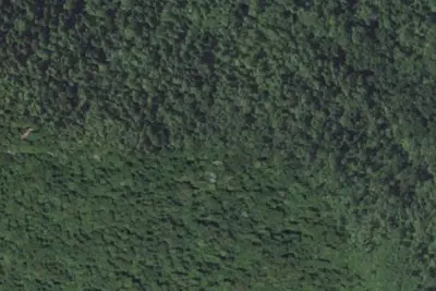 Camp site