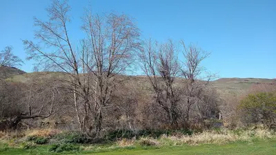 Deschutes River State Recreation Area - 055