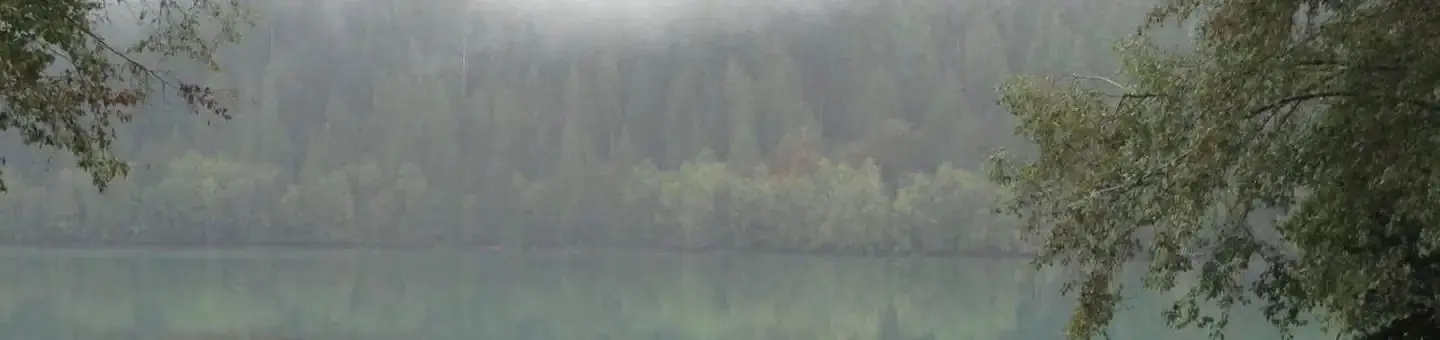 Horseshoe Cove Campground