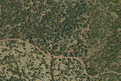 Camp site