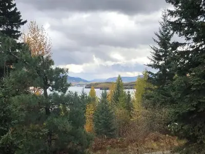 Anna Views