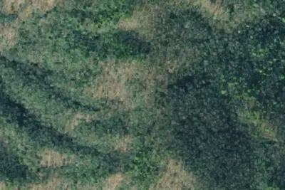 Camp site
