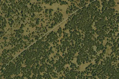 Camp site