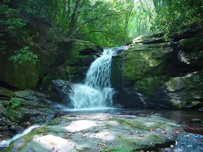 Waterfall Dodds Creek Raven Cliffs Trail 21-09-2010 - panoramio
