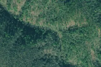 Camp site