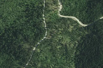 Camp site